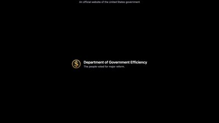 Department of Government Efficiency