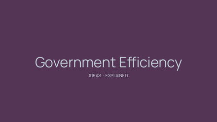 Government Efficiency