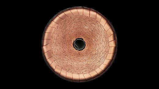 Top-down view of the tabless copper electrode spiral inside a Tesla 4680 cell